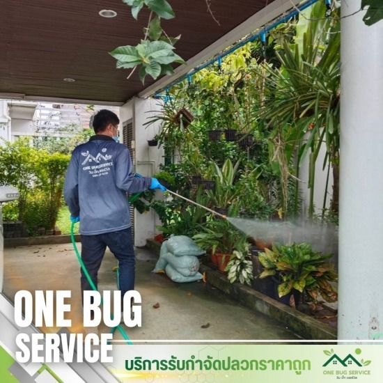 วางท่อปลวก นนทบุรี