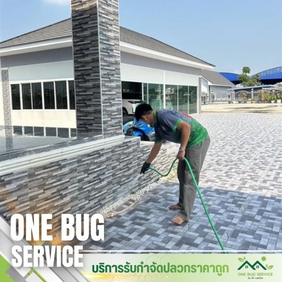 บริษัทกำจัดปลวก นนทบุรี