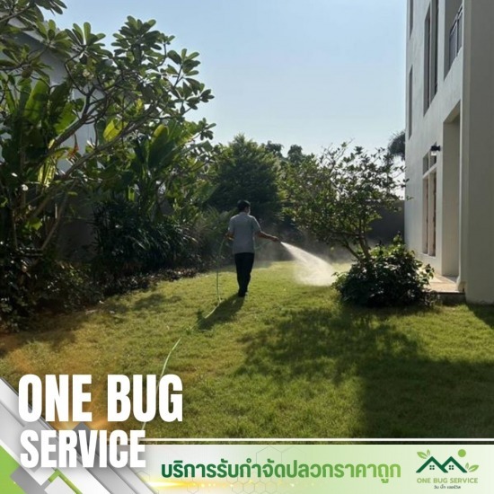 กำจัดปลวกตายยกรัง นนทบุรี