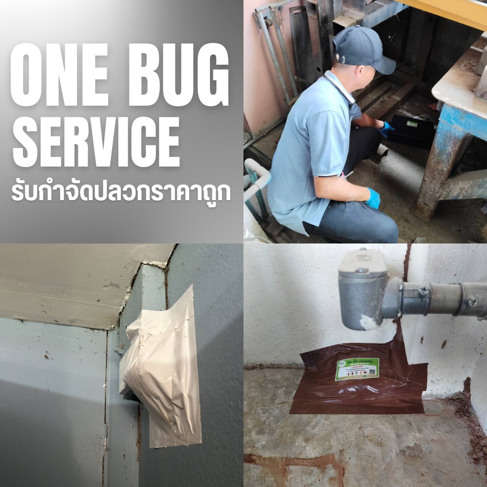 ติดตั้งท่ออัดน้ำยาปลวก นนทบุรี