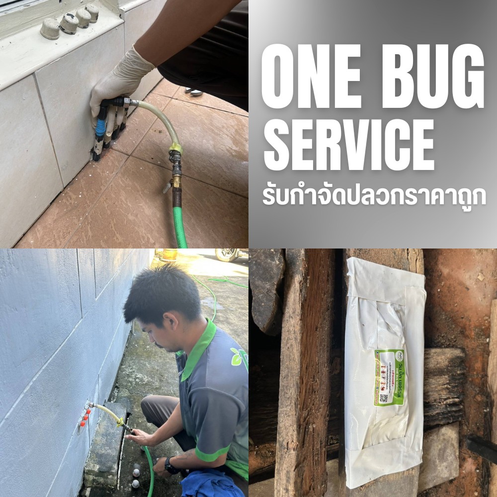พ่นยากำจัดปลวก บ้าน นนทบุรี