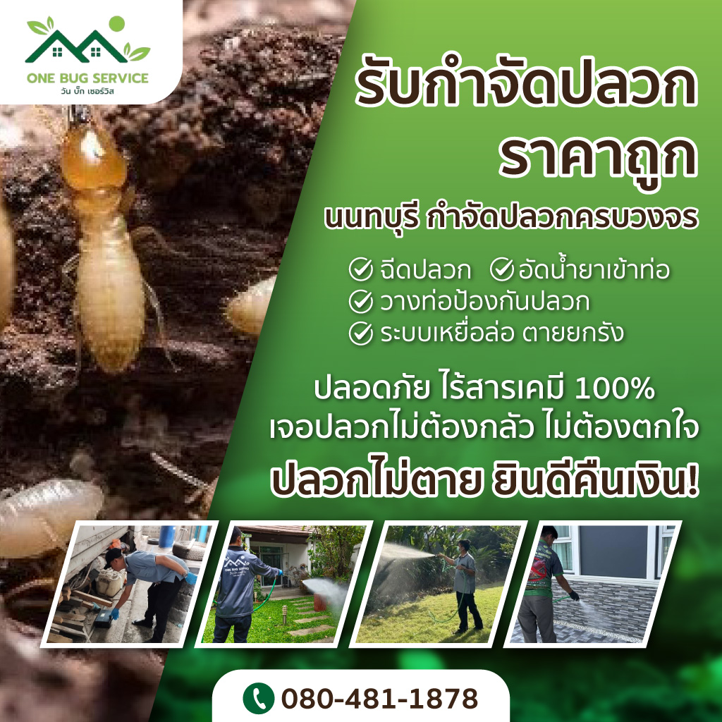 วันบั๊ก-เซอร์วิส